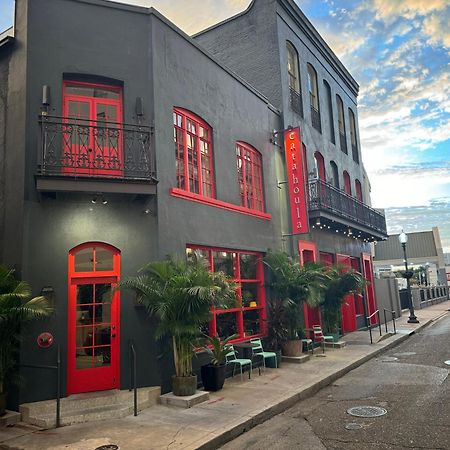 Catahoula Hotel New Orleans Dış mekan fotoğraf